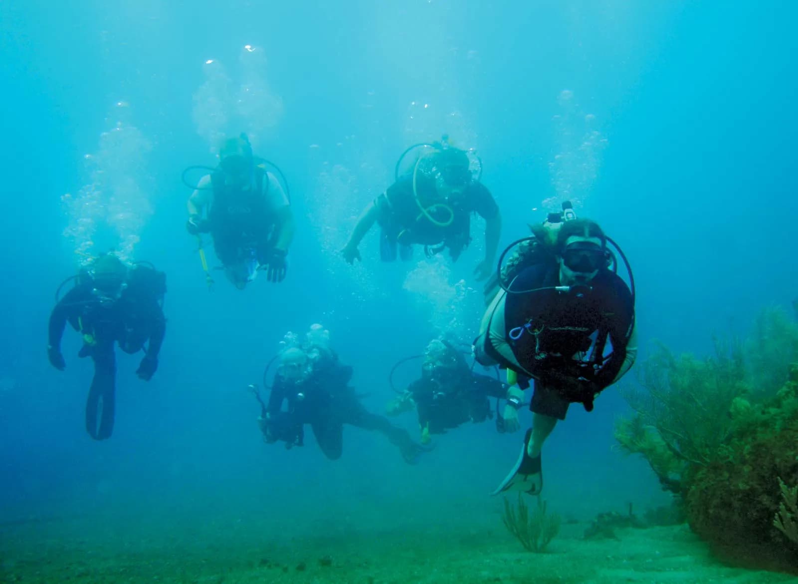 Infinite Blue Dive Travel is a leading boutique scuba diving travel company