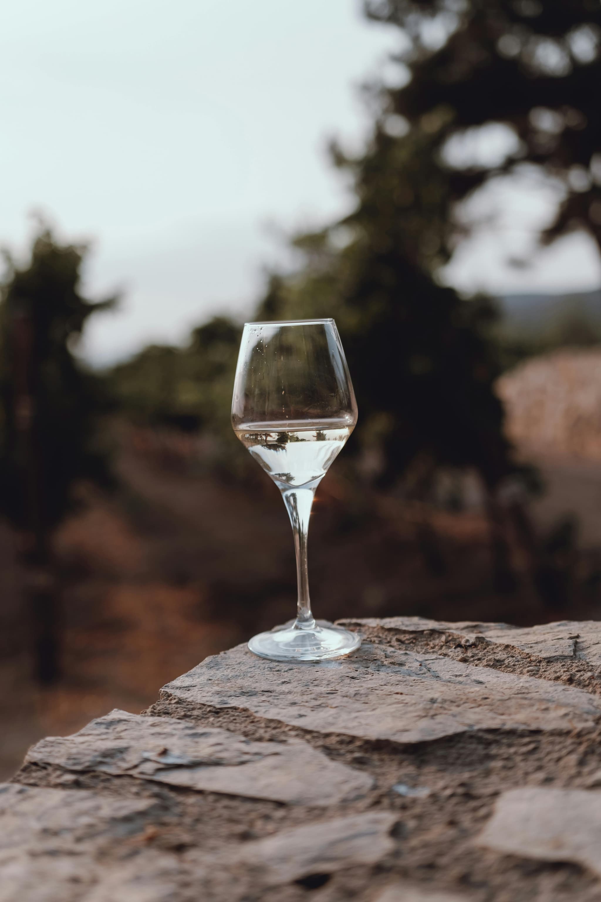 Clarksburg fruit bulk wine Offering Rich Flavor and Consistent Quality for Winemakers