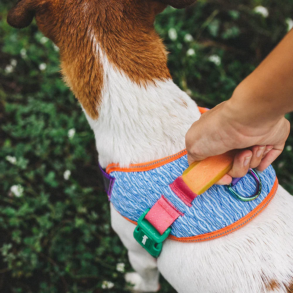 Private Label Dog Harness Supplier with Low MOQ